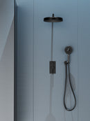Luxury-2 ways pressure balanced shower Faucet