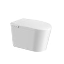 TENKY-2201C SMART BIDET TOILET (Copy)
