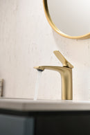 Single-Hole Bathroom Sink Faucet with Adjustable Spout