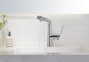 Linkaa - Vanity Single Hole Faucet