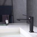 Le Mans - Vanity Single Hole Faucet