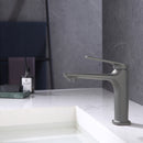 Le Mans - Vanity Single Hole Faucet