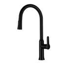 Nur 1-Kitchen Faucet
