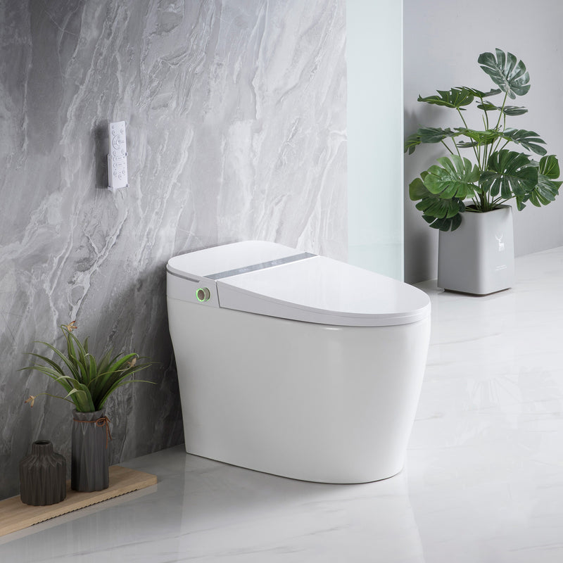 TENKY-2201C SMART BIDET TOILET