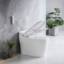 TENKY-2201C SMART BIDET TOILET