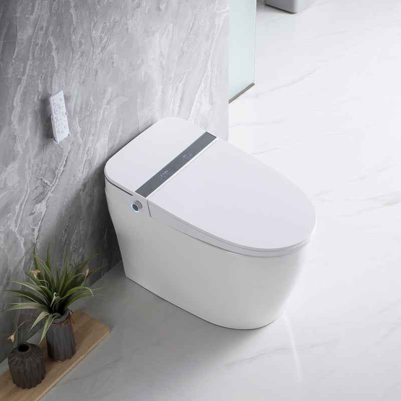 TENKY-2201C SMART BIDET TOILET