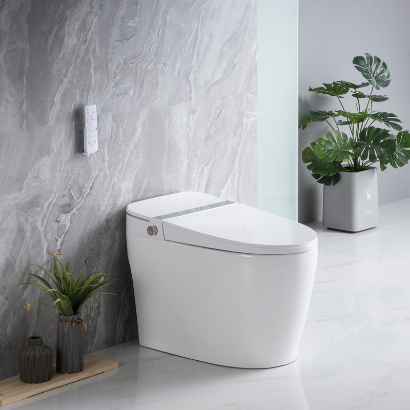 TENKY-2201C SMART BIDET TOILET