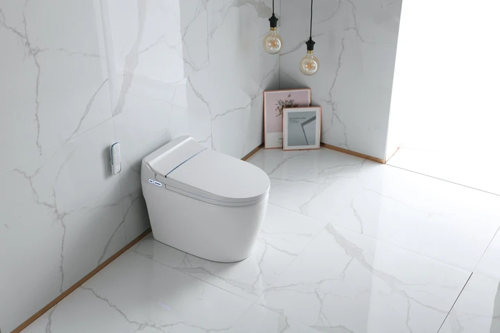 TITANDT-300 INTEGRATED SMART BIDET TOILET