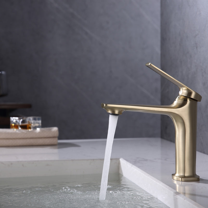 Le Mans - Vanity Single Hole Faucet