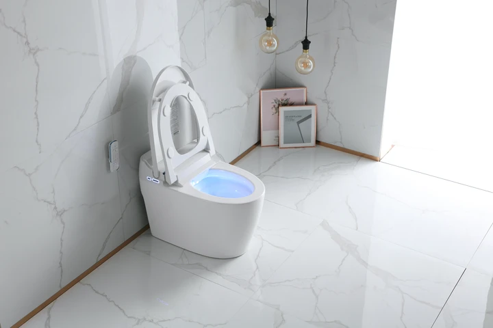 TITANDT-300 INTEGRATED SMART BIDET TOILET