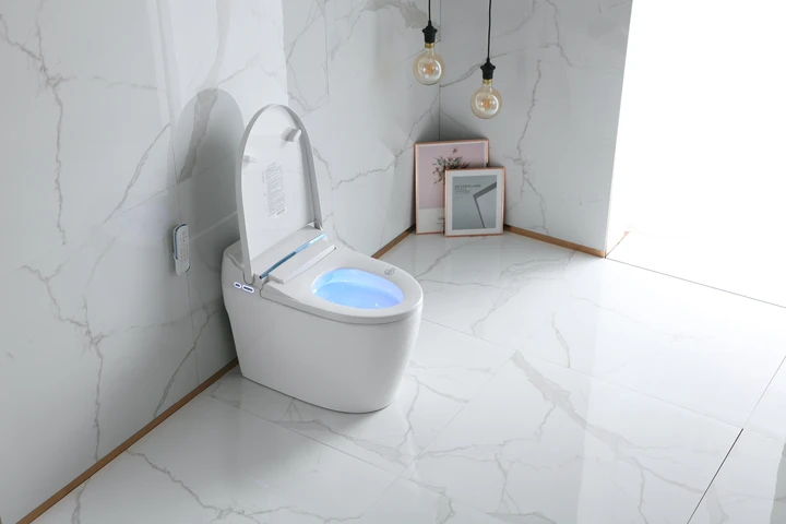 TITANDT-300 INTEGRATED SMART BIDET TOILET